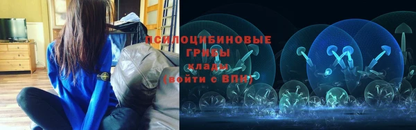 сатива Арсеньев