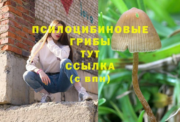 сатива Арсеньев