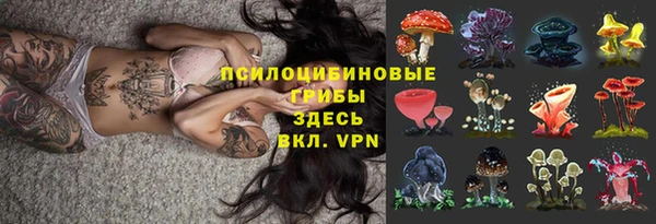 сатива Арсеньев