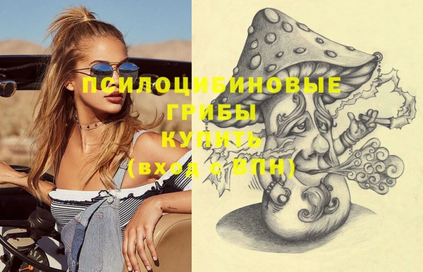 MDMA Premium VHQ Аркадак