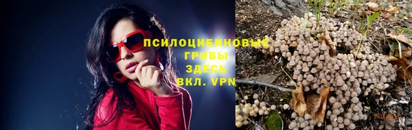 мяу мяу мука Армянск