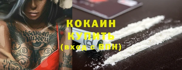 сатива Арсеньев